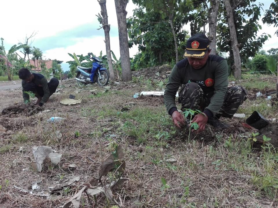 87482016 199831577998398 4395629479603470336 n